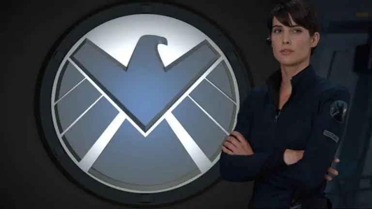 Cobie Smulders’ Maria Hill: Higher Status