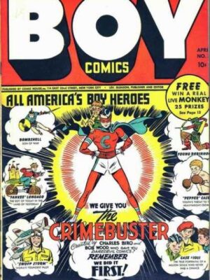 Boy Comics