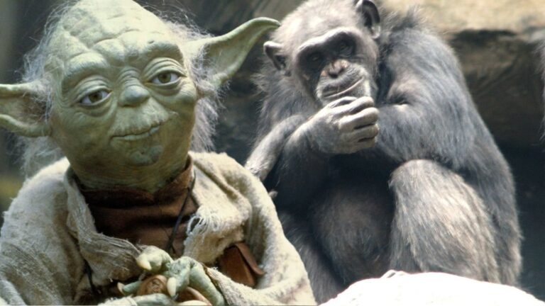 Master Yoda Was Almost… You Won’t Believe It!