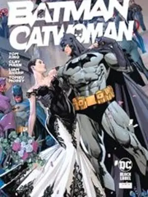 BATMAN CATWOMAN HC DIRECT MARKET EXCLUSIVE VAR (MR)