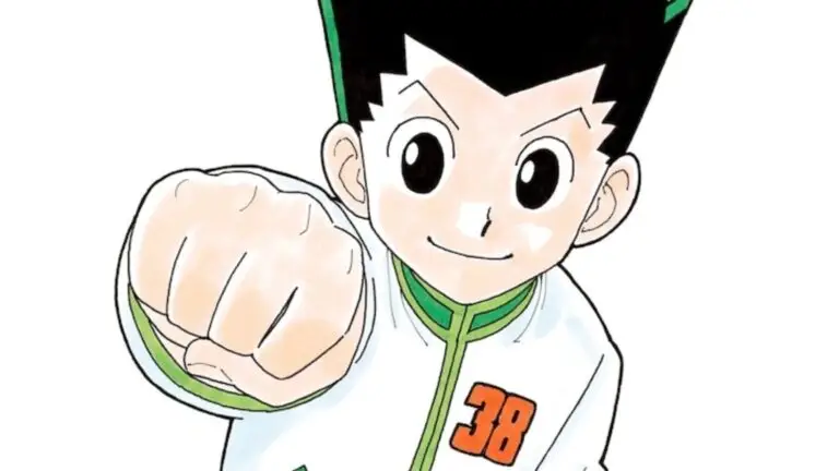 Hunter x Hunter Goes on Hiatus With New Chapter