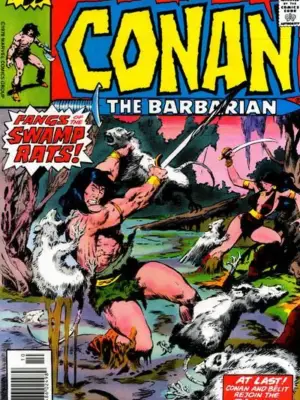 Conan the Barbarian, Vol. 1 #91A